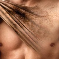 Les poils : ce qu’il faut raser