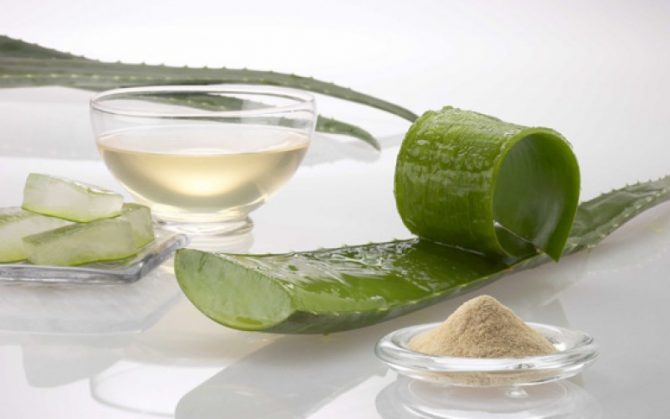 Gel d’Aloe Vera pour la barbe